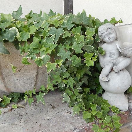 La Cordonnerie De Reau B&B 외부 사진